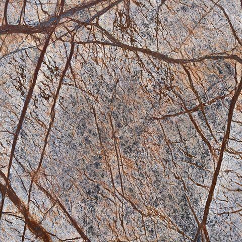 Rain Forest Brown — campione marmo