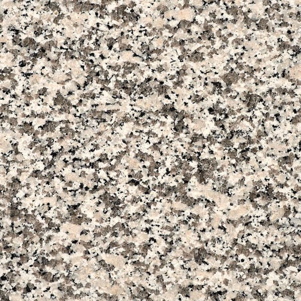 Bianco Sardo — campione fotografico di granito